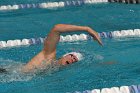 Swimming vs Bentley  Wheaton College Swimming & Diving vs Bentley College. - Photo by Keith Nordstrom : Wheaton, Swimming & Diving